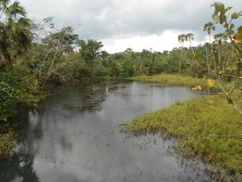 Northern Sierra Madre Natural Park by Boj