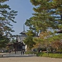 Horyu-ji Area by Gary Arndt