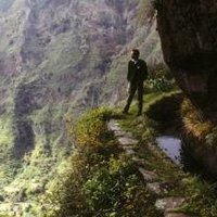 Levadas of Madeira Island  by Walter