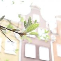 Gdansk - Town of Memory and Freedom by nan