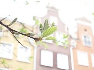 Gdansk - Town of Memory and Freedom by nan