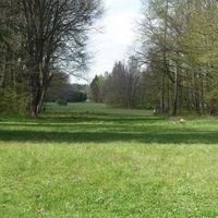 Białowieża Forest by Nan