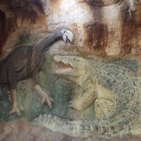 Australian Fossil Mammal Sites by john booth