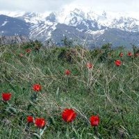 Western Tien-Shan by Solivagant