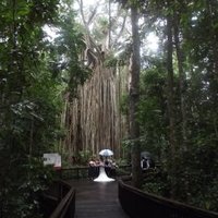 Wet Tropics of Queensland by john booth