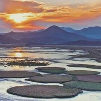 Getbol, Korean Tidal Flats by Clyde