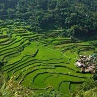 Rice Terraces of the Philippine Cordilleras by Riccardo Quaranta