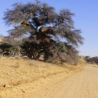ǂKhomani Cultural Landscape by Walter