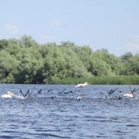 Danube Delta by Tsunami