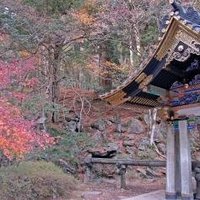 Nikko by Gary Arndt