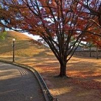 Gyeongju by Gary Arndt