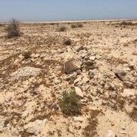 Al Zubarah by Stanislaw Warwas