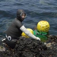 Jeju by Michael Novins