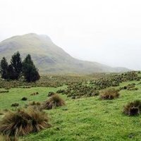 Sangay National Park by Jay T