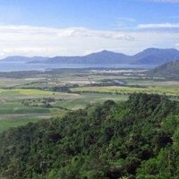 Wet Tropics of Queensland by Jay T