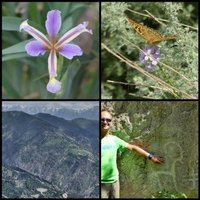 Western Tien-Shan by Clyde