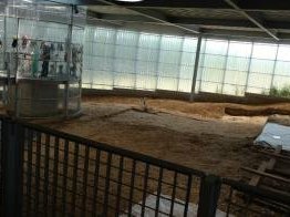 Neolithic Flint Mines at Spiennes by Nan