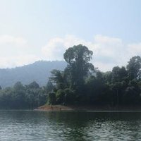 Royal Belum State Park by Wojciech Fedoruk