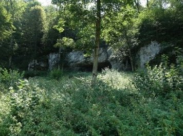 Caves and Ice Age Art by Nan