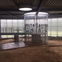 Neolithic Flint Mines at Spiennes by Alexander Barabanov