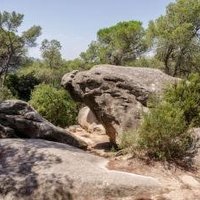 Rock Art of the Mediterranean Basin by Ilya Burlak