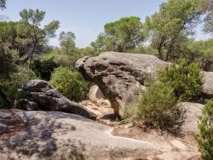 Rock Art of the Mediterranean Basin by Ilya Burlak