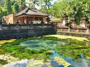 Bali Subak system by Frederik Dawson