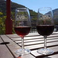 Alto Douro by Echwel