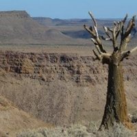 Fishriver Canyon by Els Slots