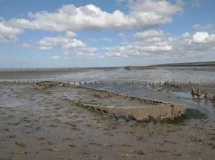 Wadden Sea by Kbecq