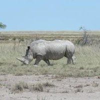 Etosha Pan by Els Slots