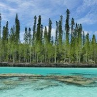 Lagoons of New Caledonia by Clyde