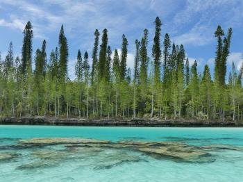 Lagoons of New Caledonia by Clyde