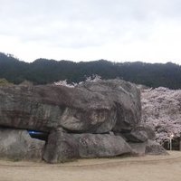 Asuka-Fujiwara by Zoë Sheng