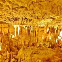 Australian Fossil Mammal Sites by Frederik Dawson