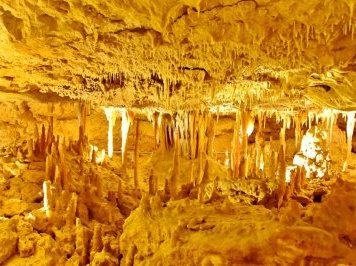 Australian Fossil Mammal Sites by Frederik Dawson