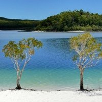 Fraser Island by Clyde
