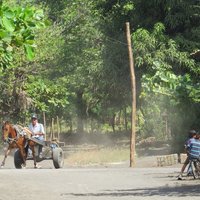 Leon Viejo - in town