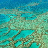 Great Barrier Reef by Clyde