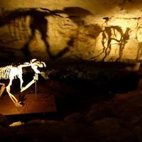 Australian Fossil Mammal Sites by Clyde