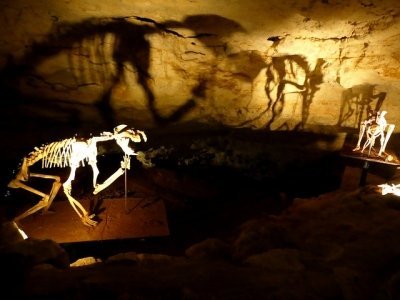 Australian Fossil Mammal Sites by Clyde