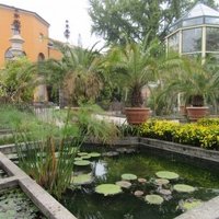 Botanical Garden, Padua by Jay T