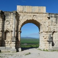 Volubilis by Clyde