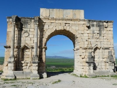 Volubilis by Clyde