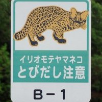 Amami-Oshima Island by Zoë Sheng