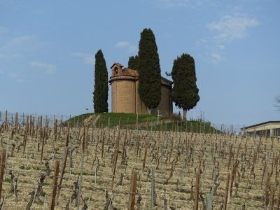 Vineyard Landscape of Piedmont by Nan