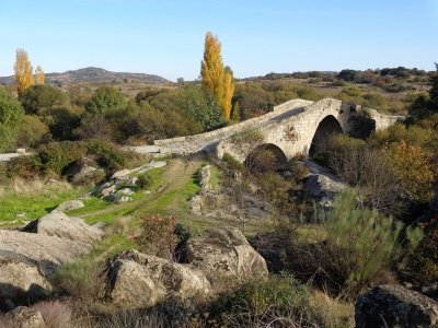 Mesta Livestock trails by Argo