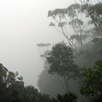 Greater Blue Mountains by Jay T