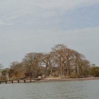 Kunta Kinteh Island by Michael Novins