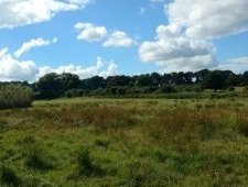 Hedeby and Danevirke by Nan